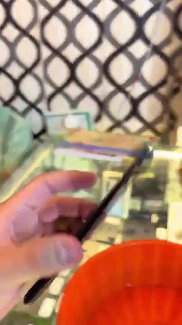 Deep clean trash files for more space.