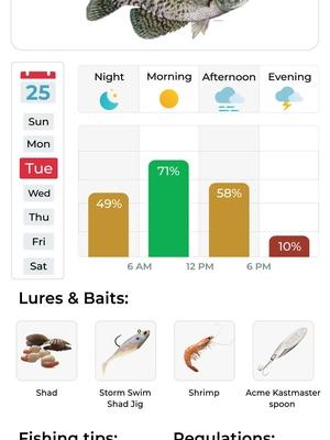 Find the best fishing spot with real-time mapping and expert tips