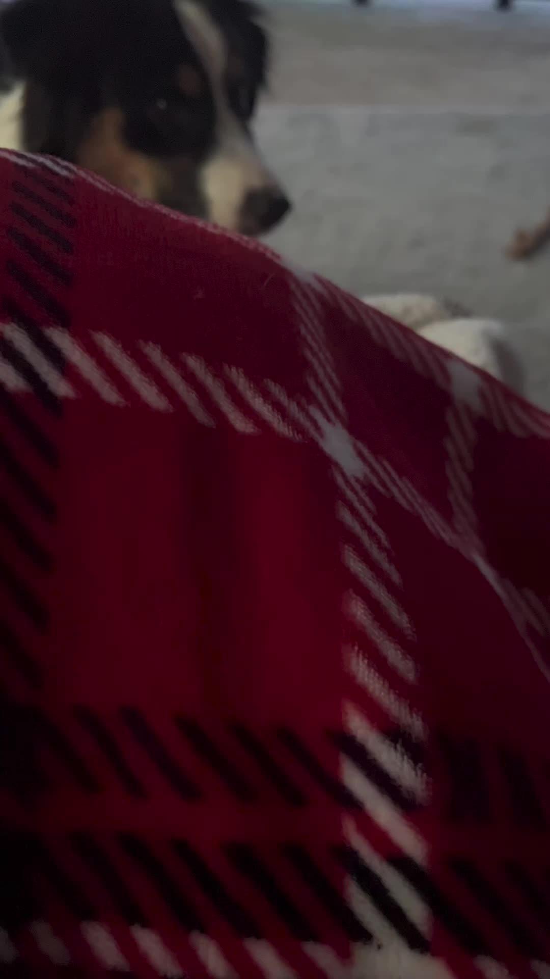 Clean master for your iphone now!