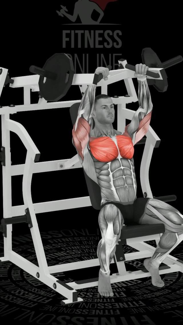 Entrenamientos efectivos. Logra la mejor versión de ti mismo