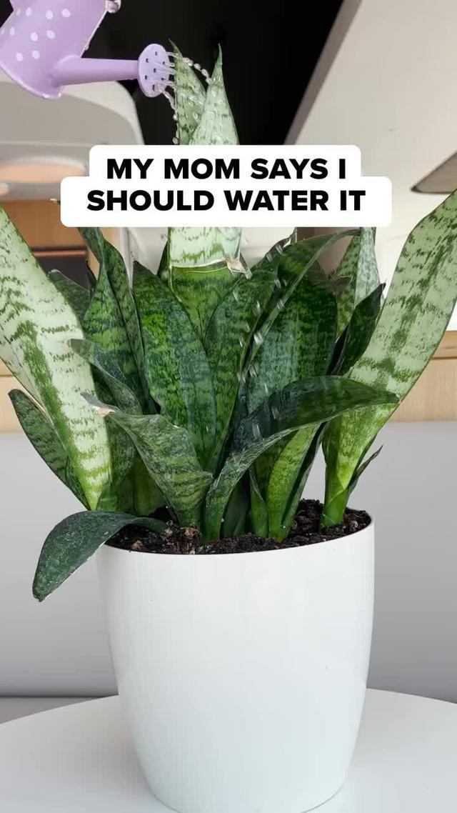 Did you try this before? Come on! Download for FREE!