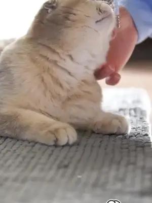 Ứng dụng live giải trí được yêu thích nhất 2023