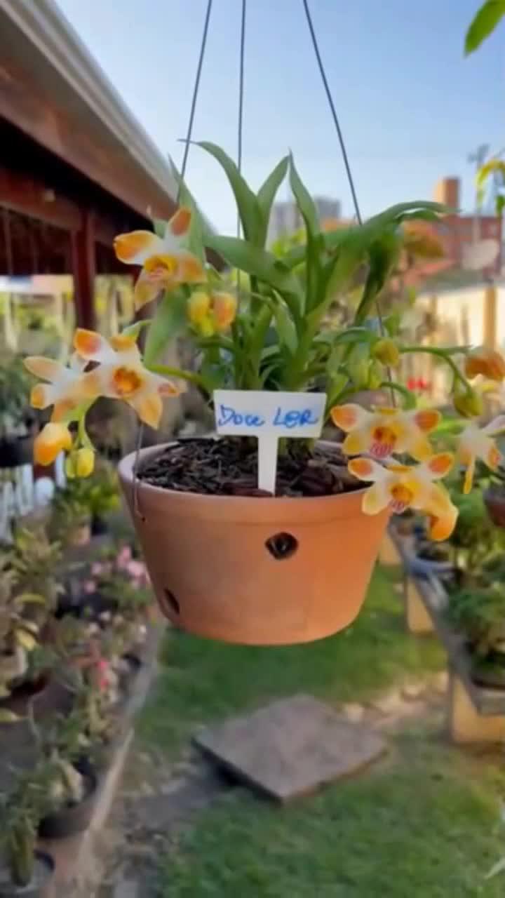 Aproveite As Melhores Ofertas do Mercado Livre com Envio Super Rápido! Baixe o App e Confira!