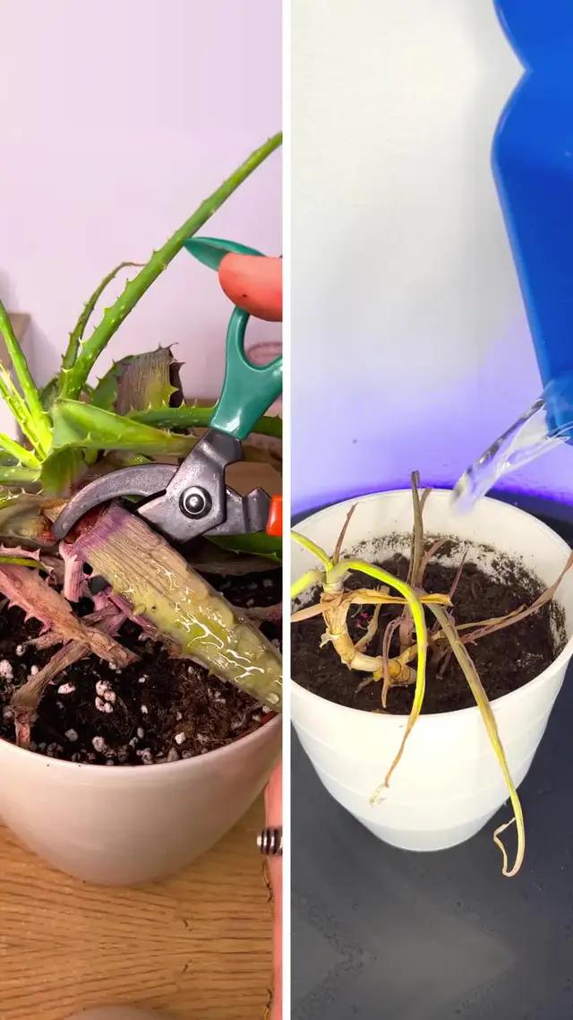 Yeşil yolculuğunuz burada başlıyor! 