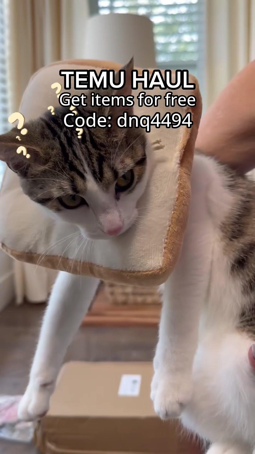 😸 Get FREE pet supplies and enjoy unbeatable offers on @Temu  Use link in bio and code: dnq4494 to make your furry friends happy 😻  So many fun items in this haul! 🛍️🛒 Which one is your favorite? We plan on Fleur to get sterilized very soon and I got a variety of collars and pj’s to try for post-operation.  #petlove #temu #temupetsupplies #temuhaul #temucat #temufinds #catcollar #catproducts #cattoys #catfinds #shoppinghaul #freeitem #cutecats #catok #cattok #catsoftiktok #catinfluencer #petfluencer #catunboxing #catlover #catsvideo #catsoutfit