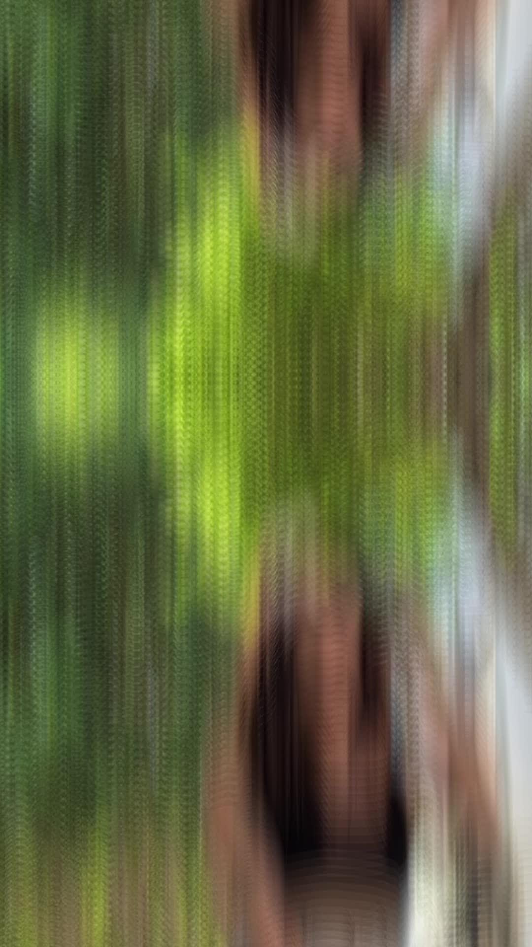 The best dog training app for your flurry friend!