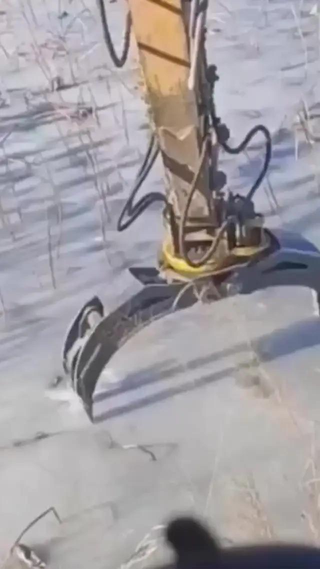 Your brain is 69 years old!