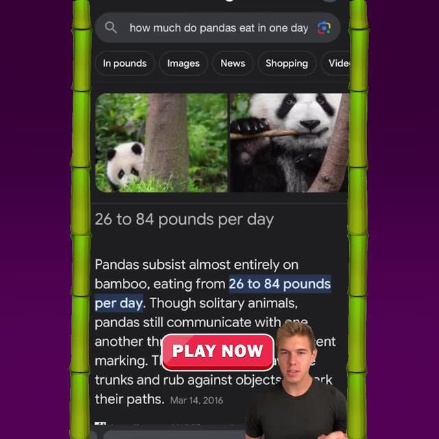 Build your own Sugarcane Factory!