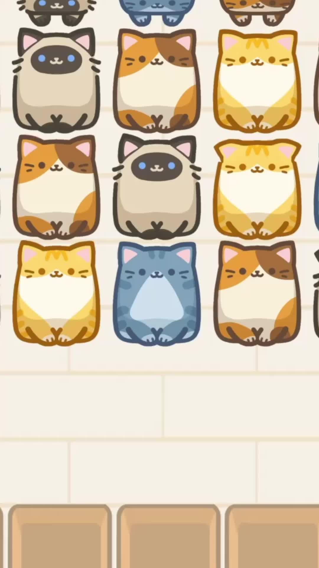 Cute Box Cats - Play Now!