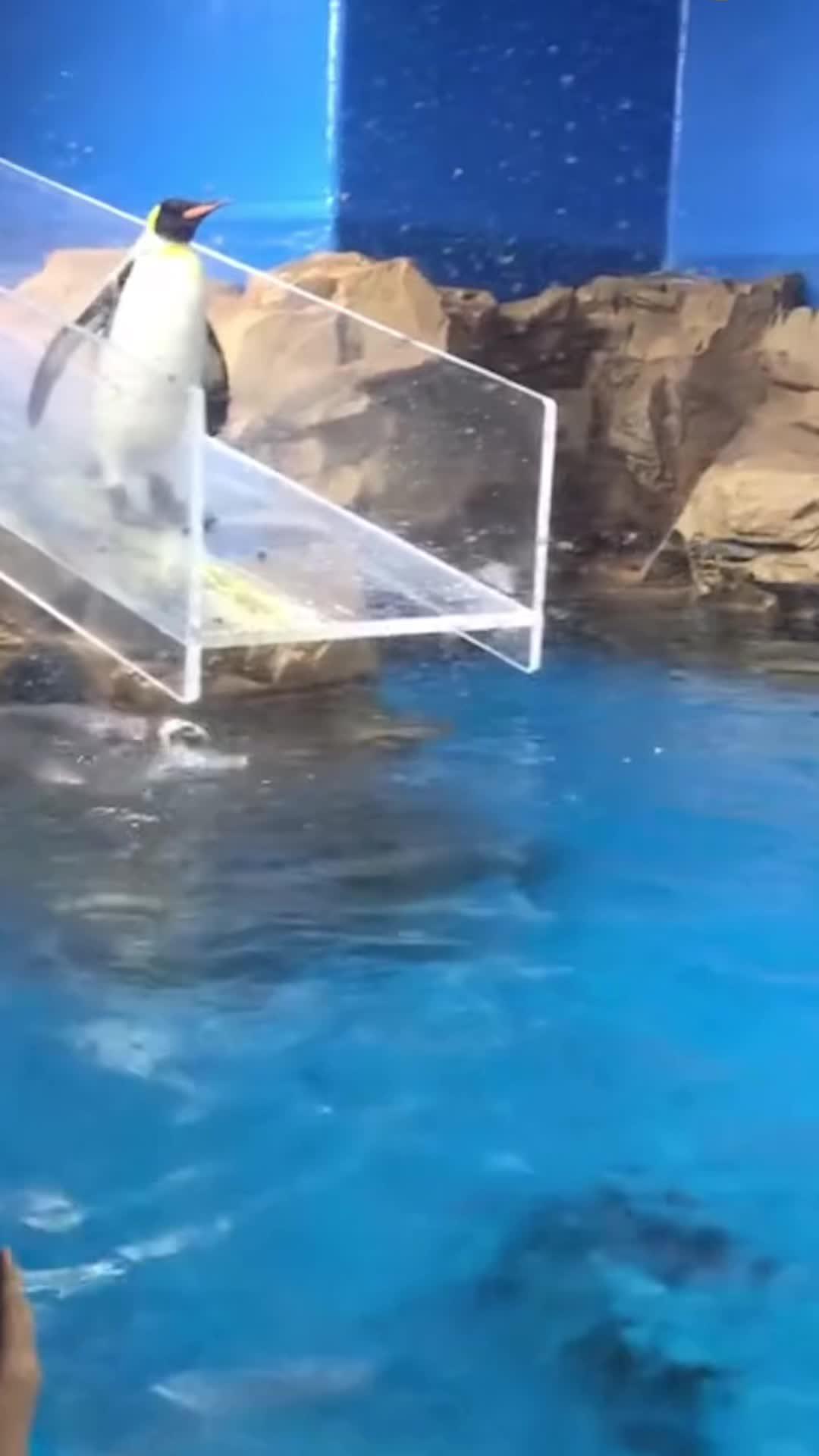 OMG! My Childhood Toy!