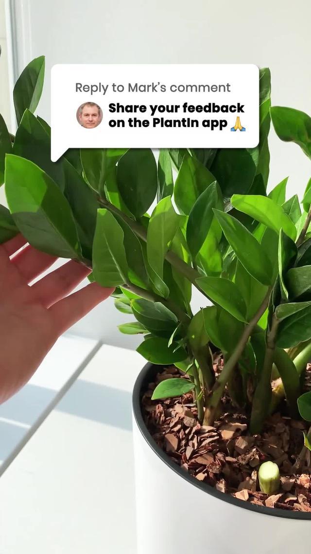 Take Care Of Your Plants Now! Try for Free!