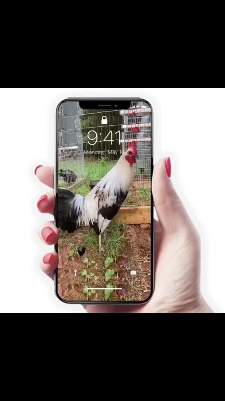 Download experience, communication without borders