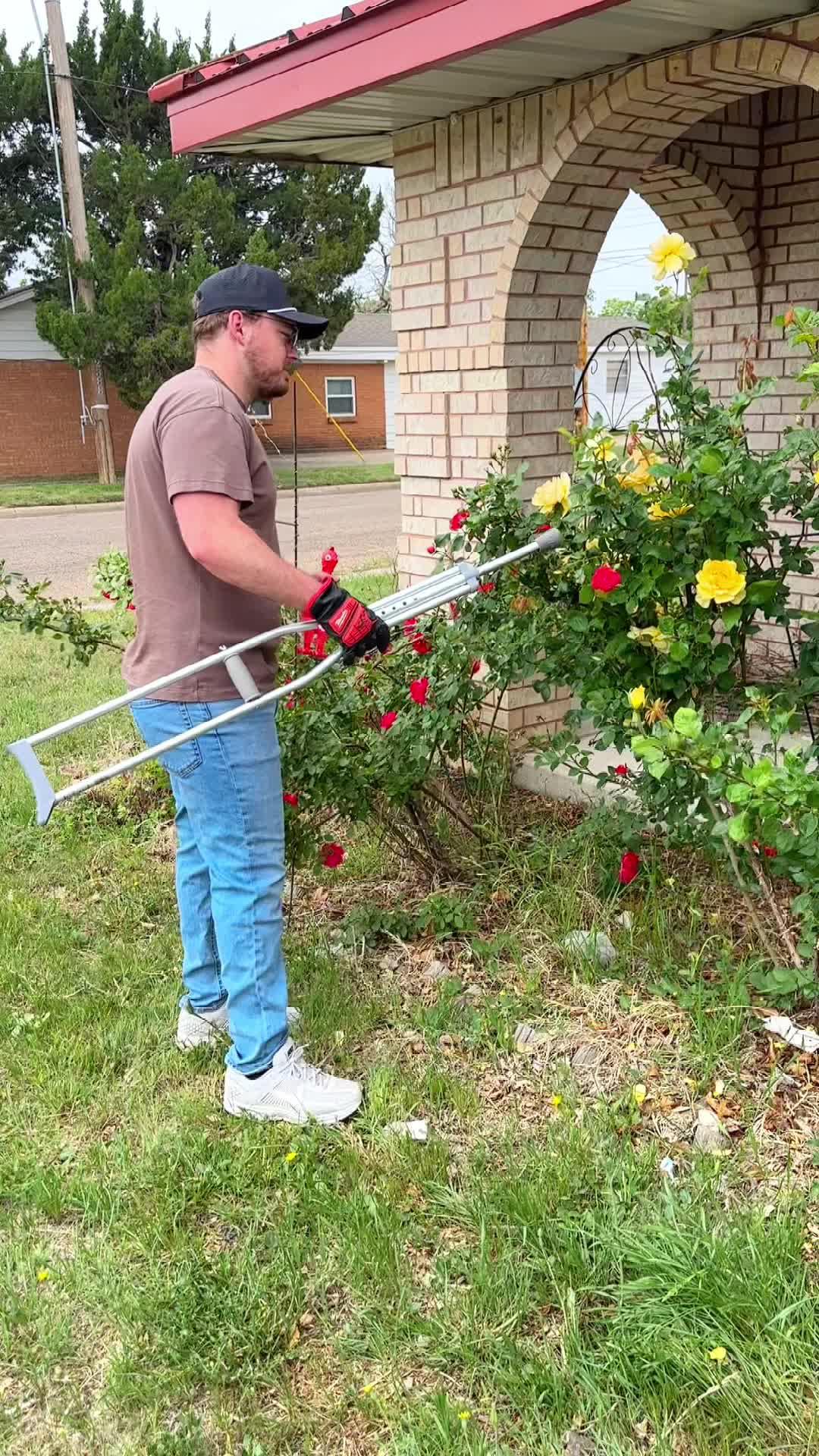 10+ million users all over the world like!