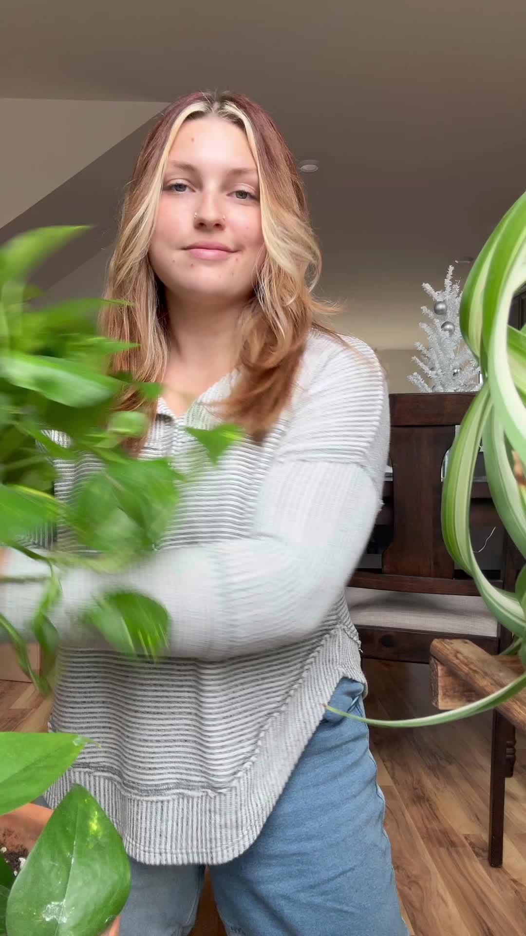 Identify plants & diseases. Get full plant information and personal care schedule.