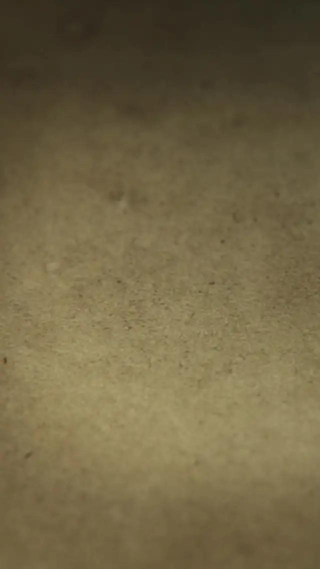 Choose Your Champion!