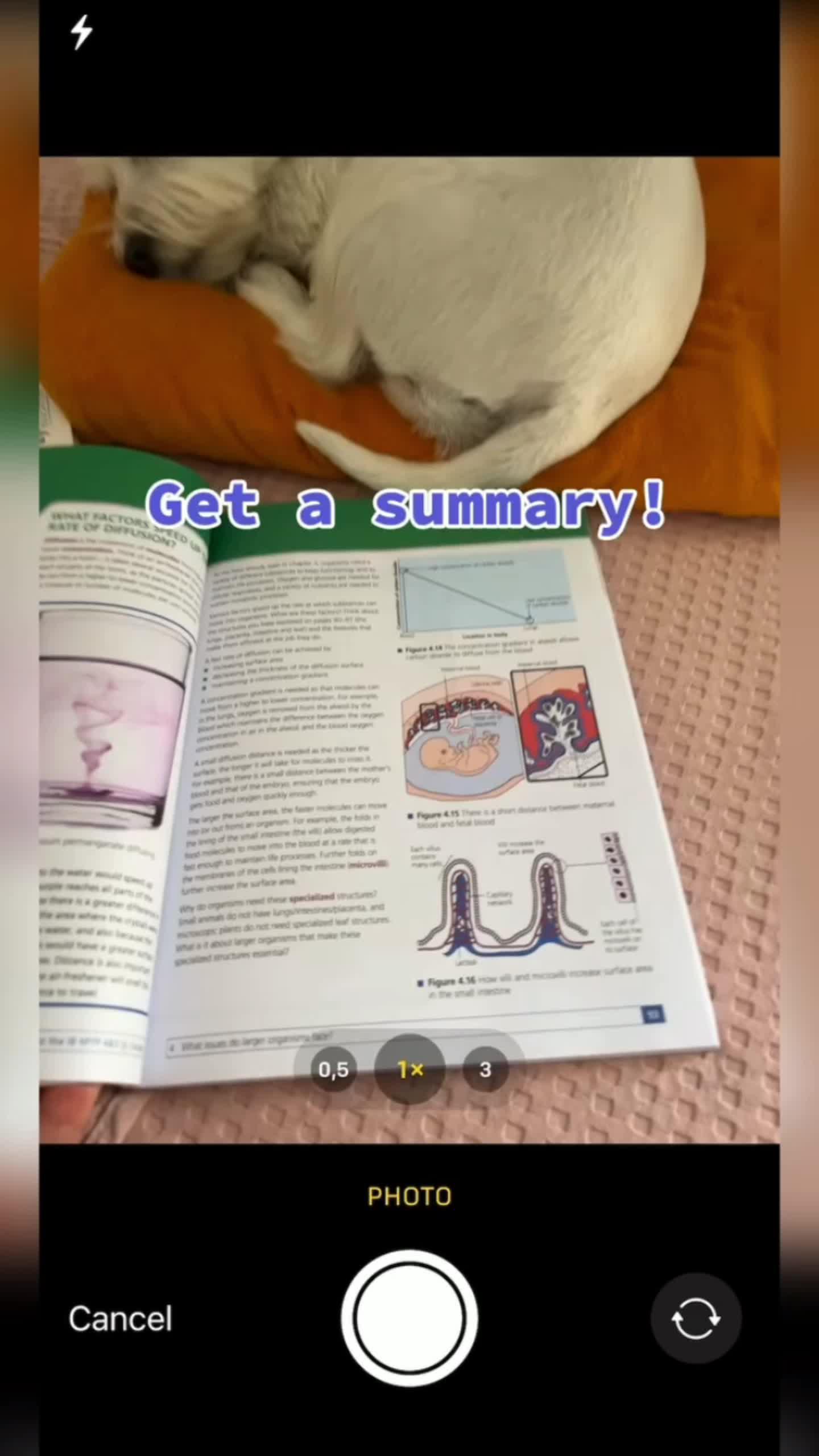 Super intelligent text editor-- Download now FOR FREE!