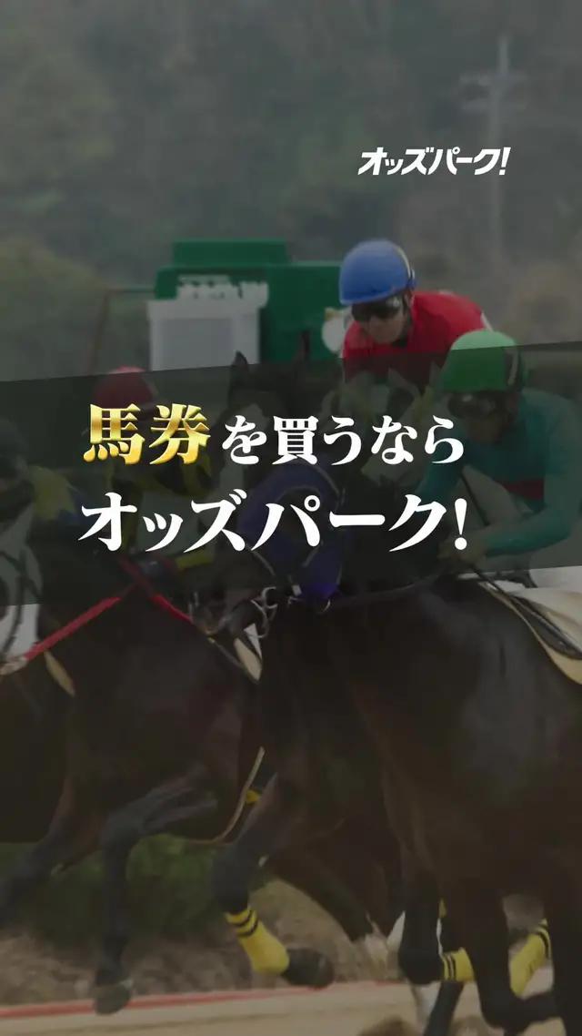 ポイント還元でお得に投票！会員登録者数は150万人を突破、競馬を楽しむならオッズパーク！
