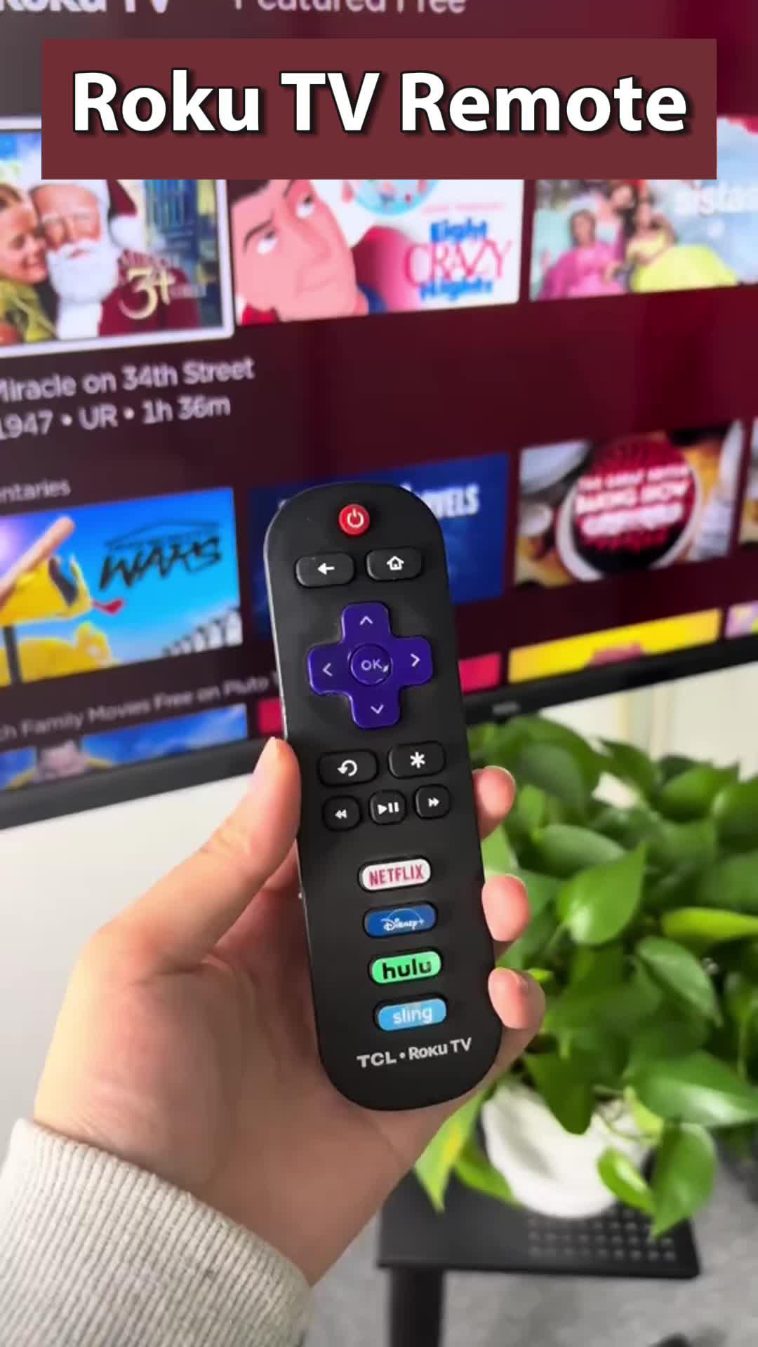 Remote Roku TV By iPhone