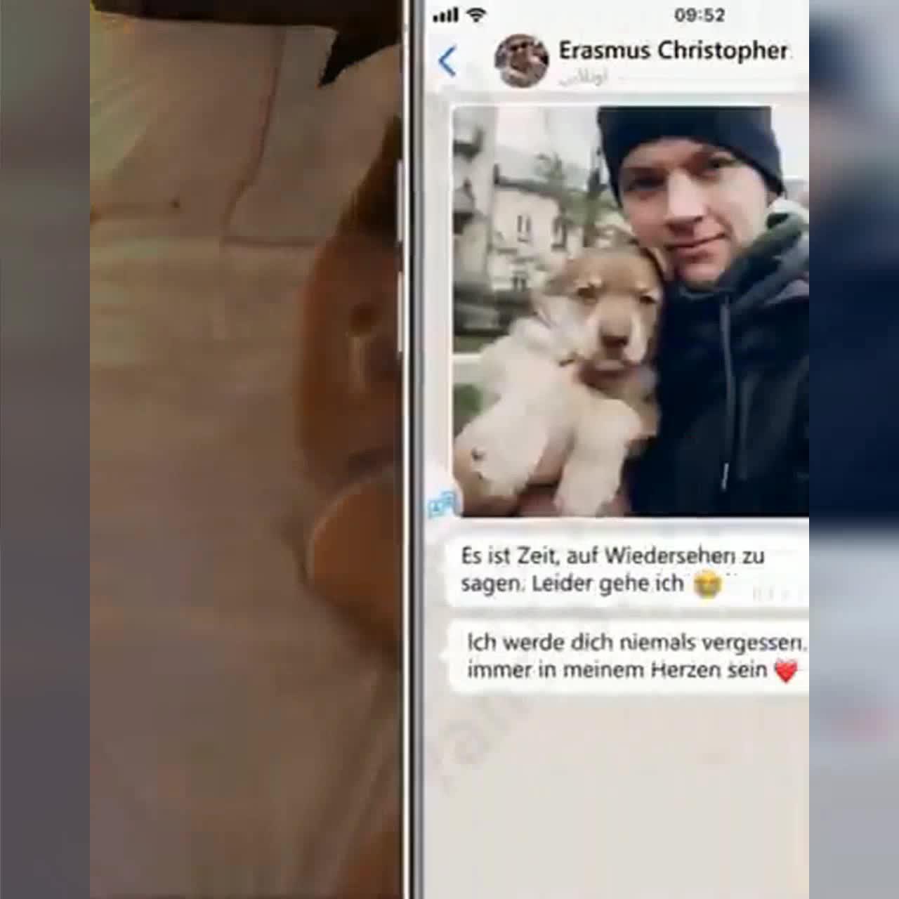 أدوات الترجمة