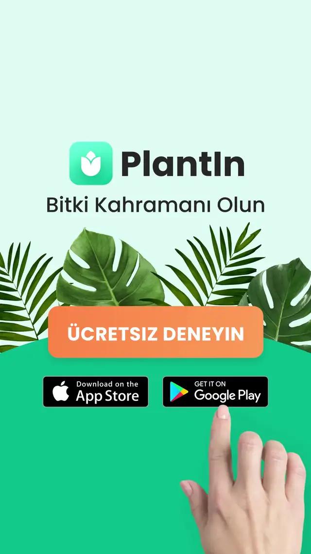 Yeşil yolculuğunuz burada başlıyor! 