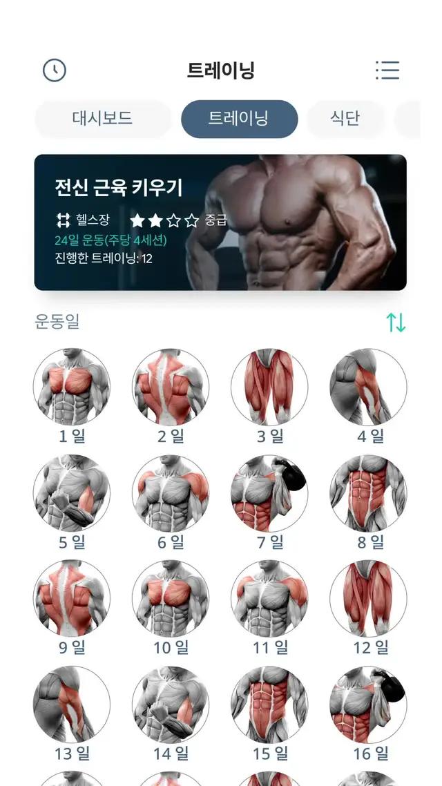 꿈 꿔온 몸을 만드세요