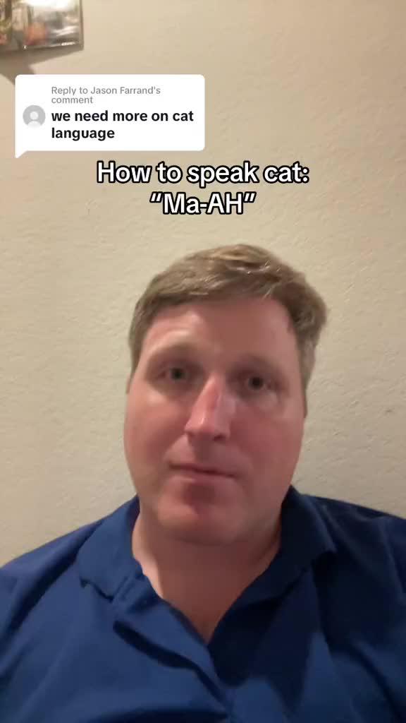 What do you want to tell your cat?