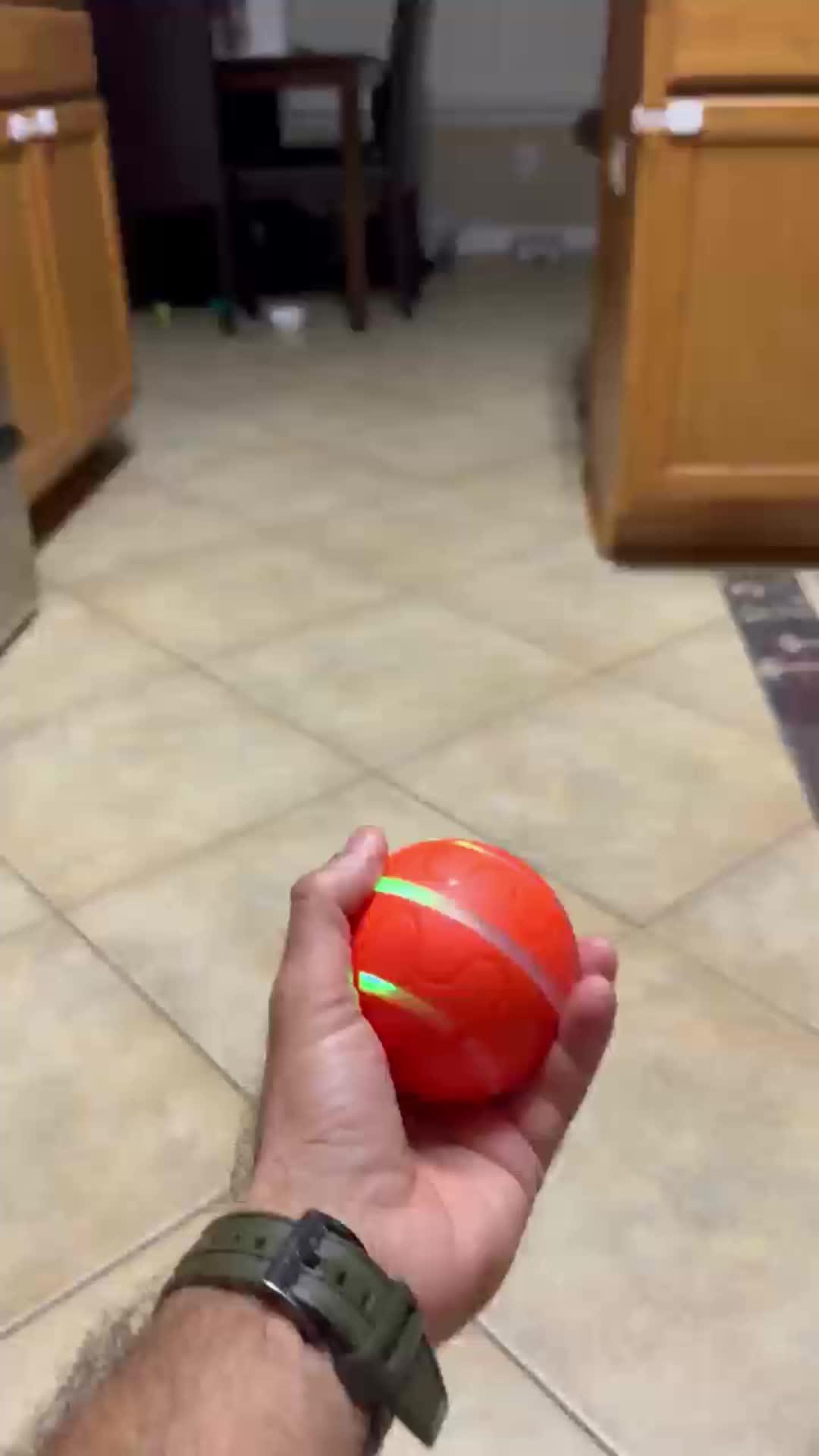 🌟 Pet lovers, behold!💖 Snag the pet essential where love meets innovation on Temu. 🐥🛍️ #BackyardBliss #TemuLove#TemuPets#TemuPetsFinds