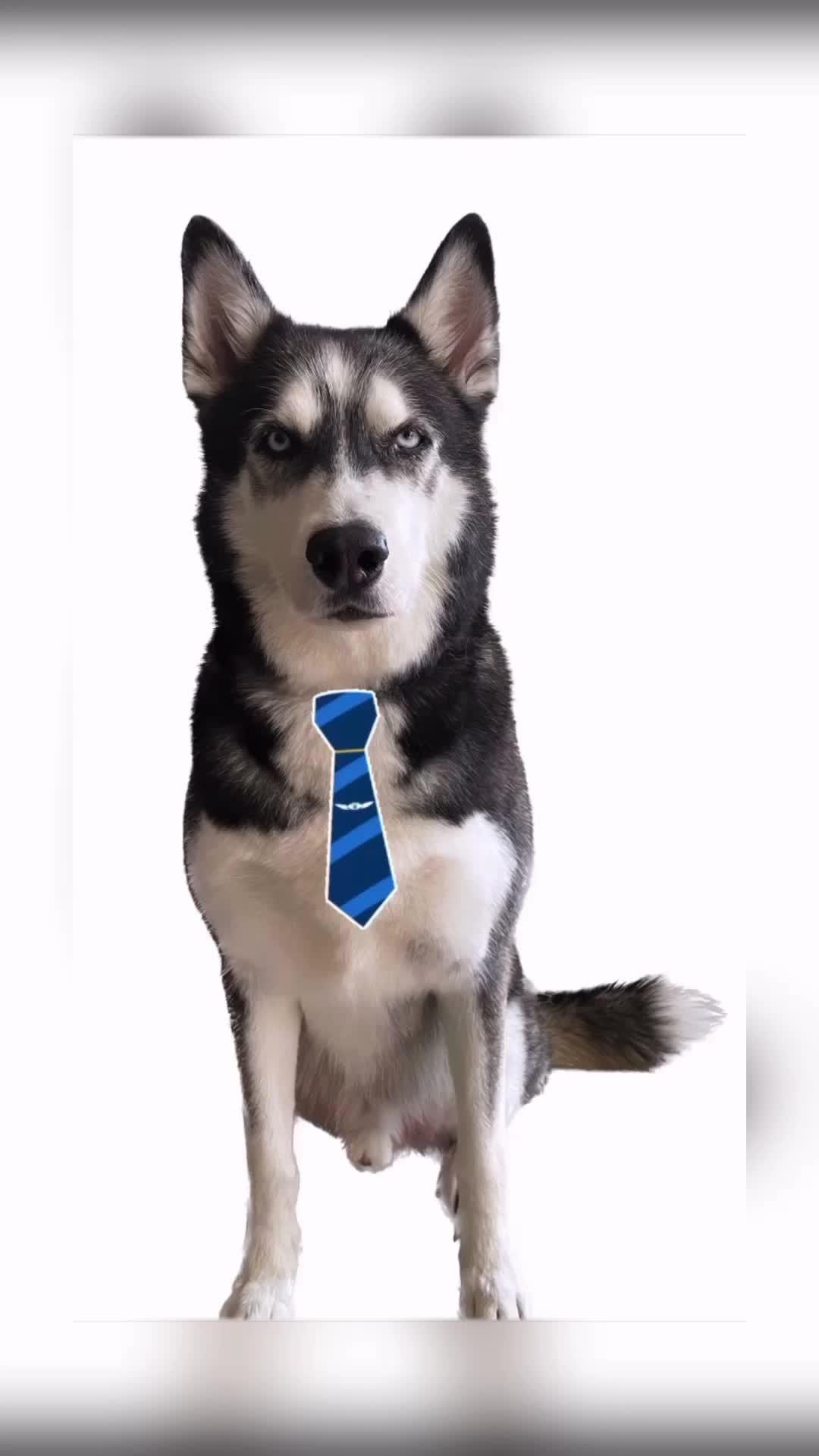 Free up iphone storage in seconds with Cleanup