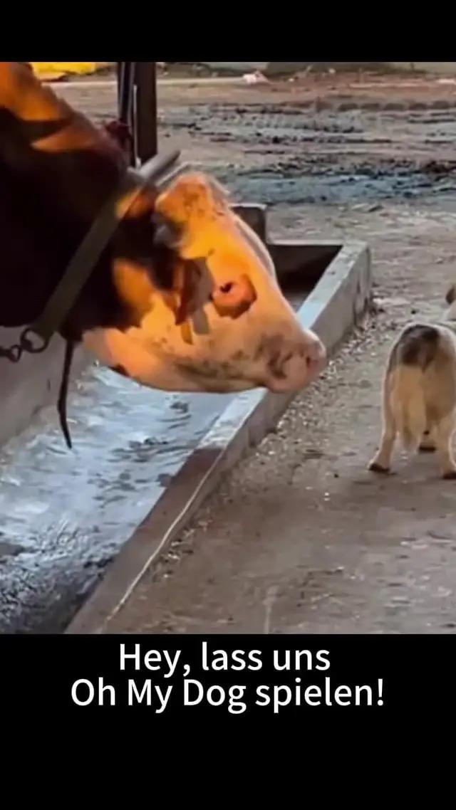 Jetzt Herunterladen!