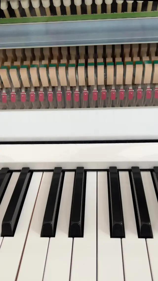 Spiele die Musik, die du liebst