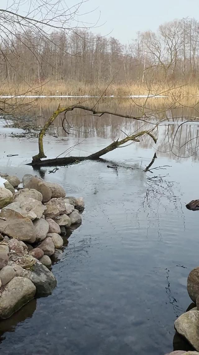 Find value in every coin