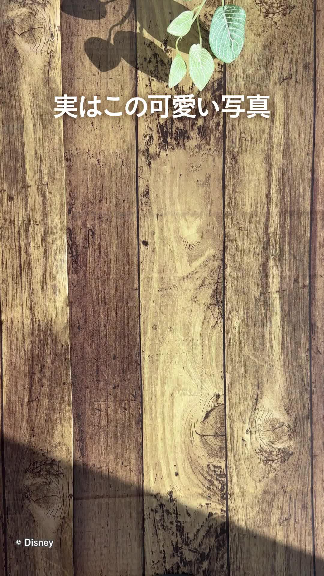 アルバスで毎月思い出を形に残してみませんか？写真を選ぶだけで自宅に写真が届く！