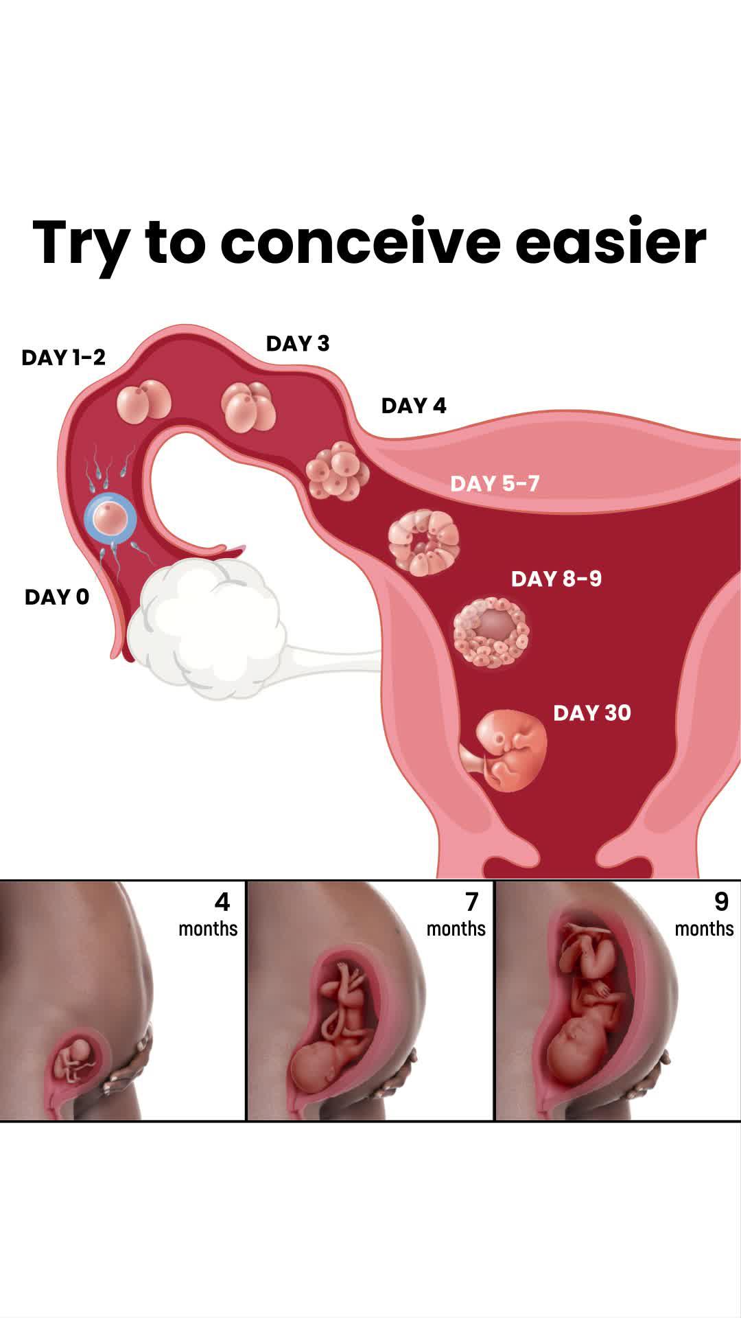Get REAL-TIME fertility insights on the first try!