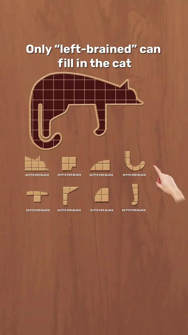 Warning: addictive wood block puzzle!