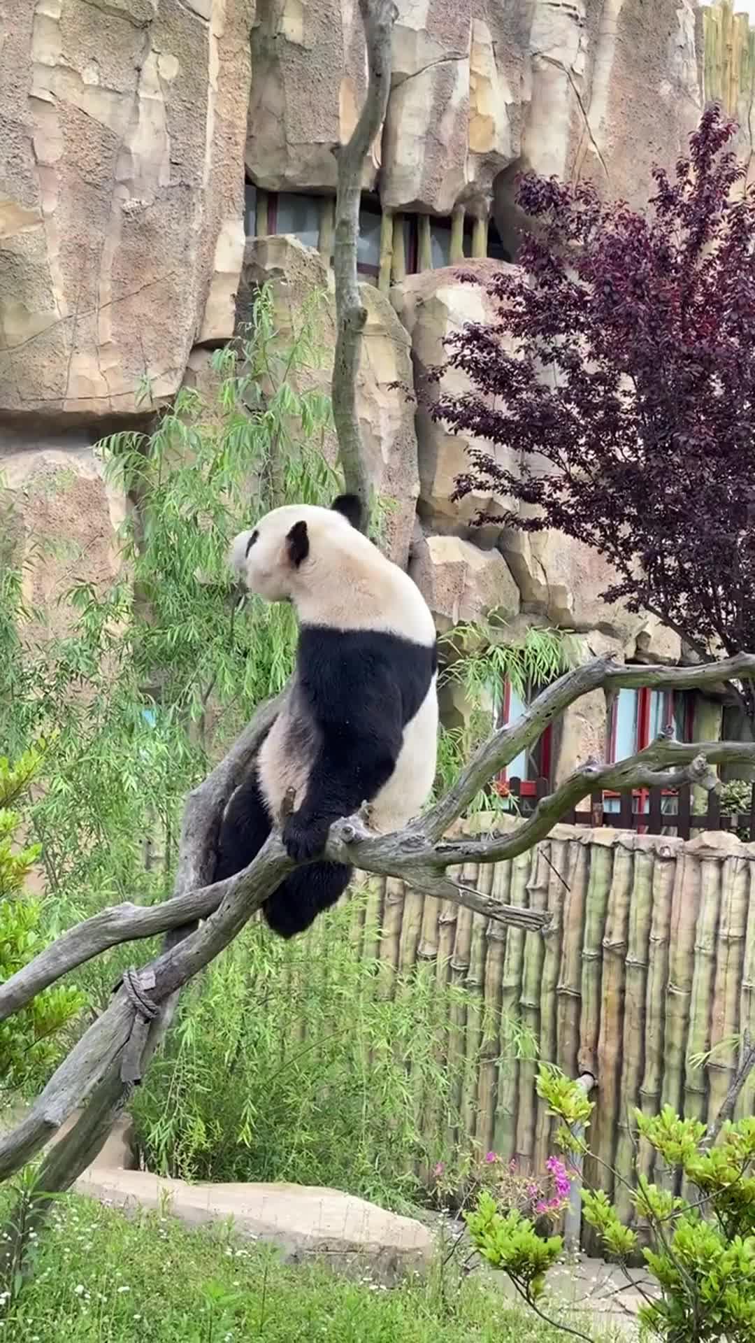 Match-3 strategy game.