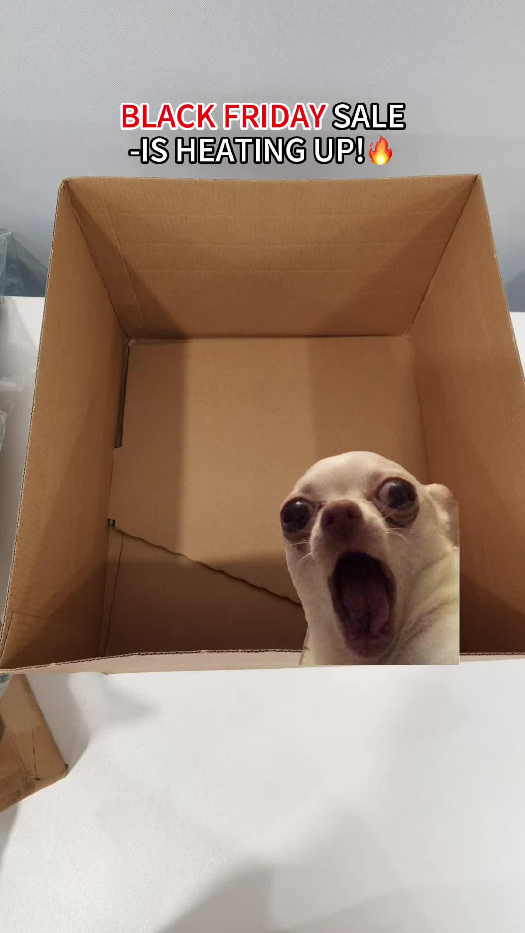 HURRY!  Shop the $11.11 Flash Sale before it's over!