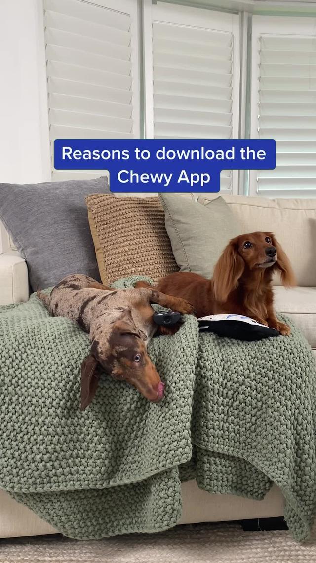 Shop the Chewy app today and get fast, free shipping on orders over $49!