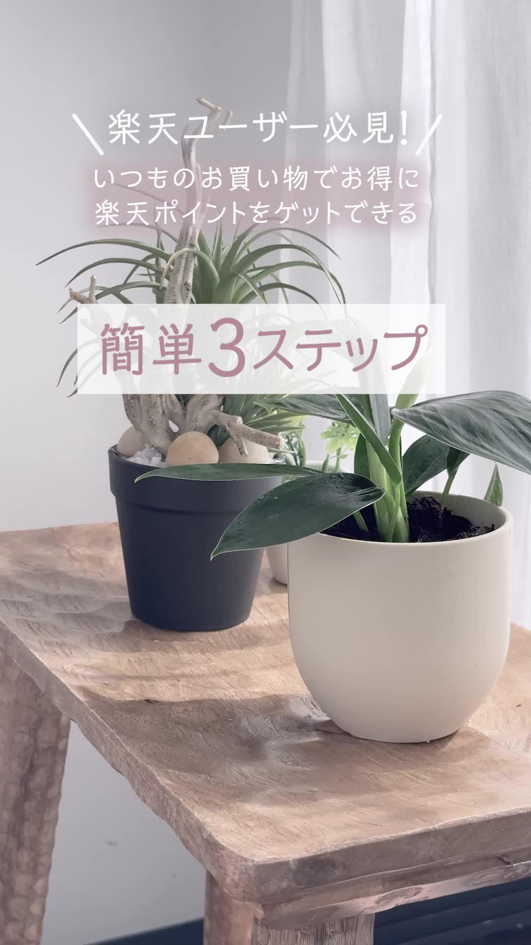 【期間限定】楽天リーベイツでORBISを新規購入すると楽天ポイント最大15%還元。