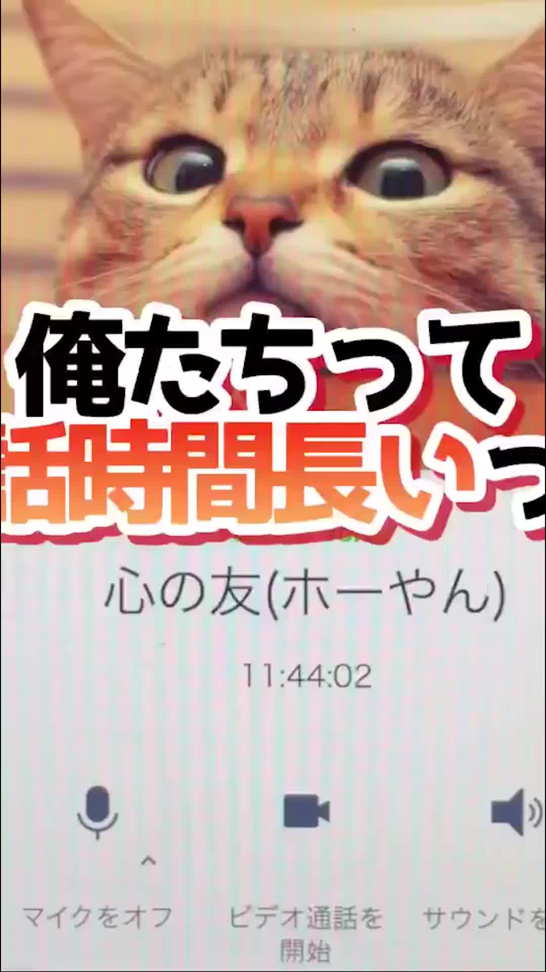 気楽に話せる、やさしいSNS