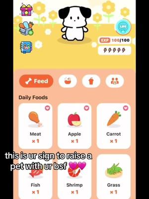 Cute Dynamic Animals Widget