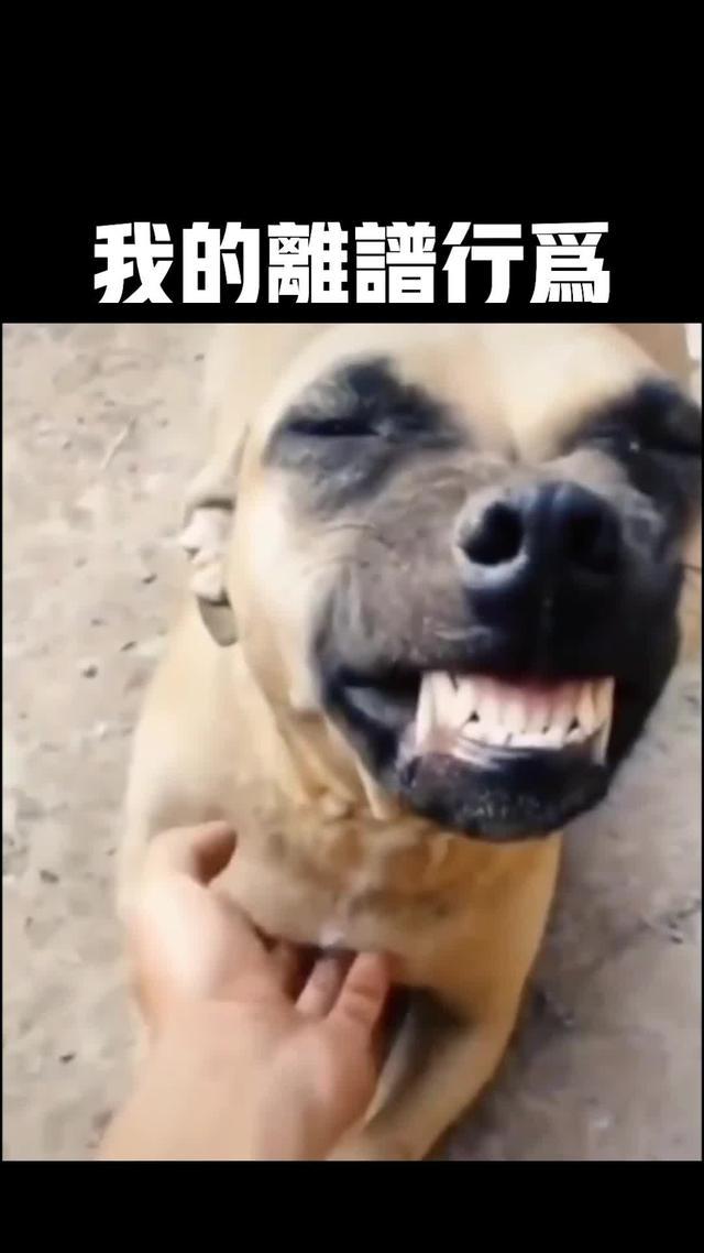 來WePlay「小世界」體驗全新社交模式，快向你的朋友展示新狀態！