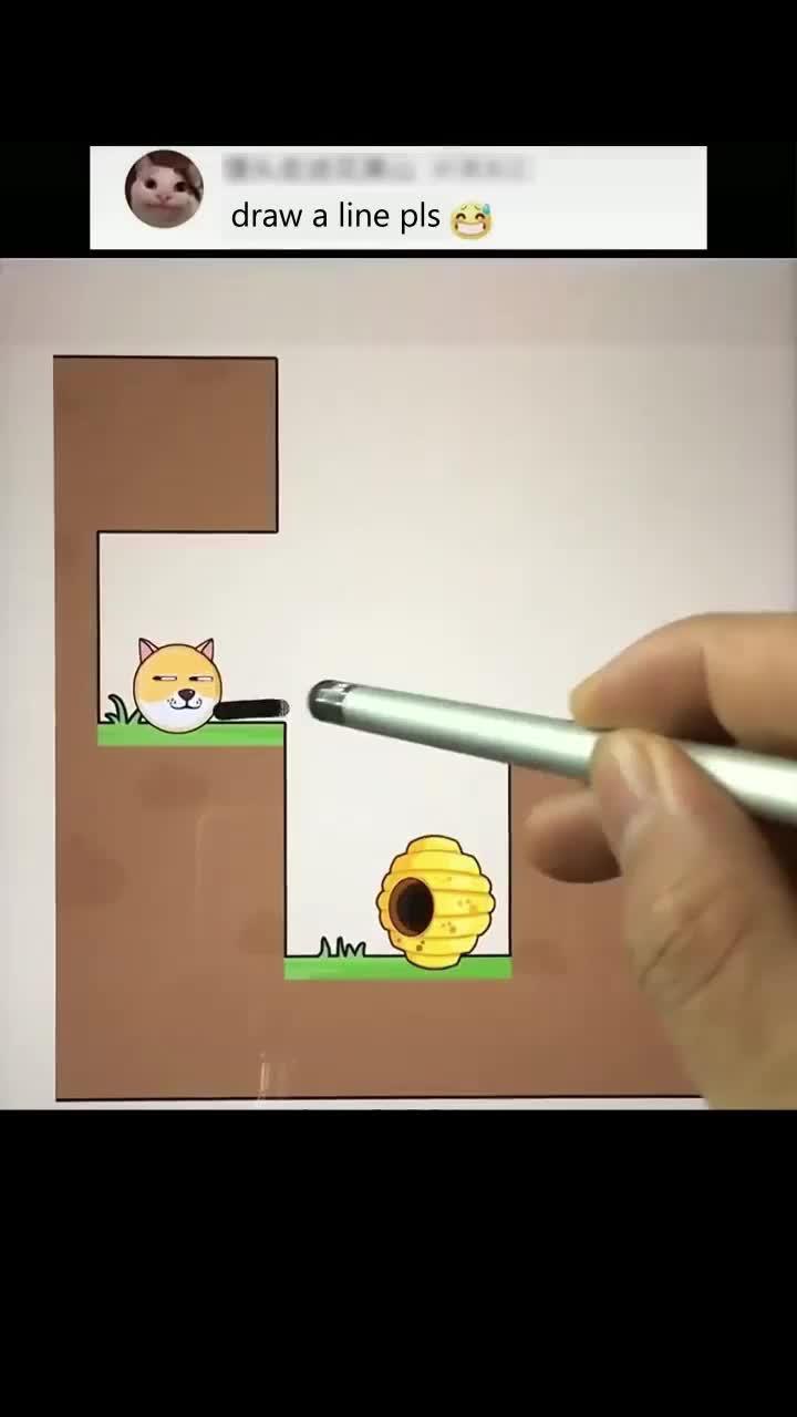 Save the dog now