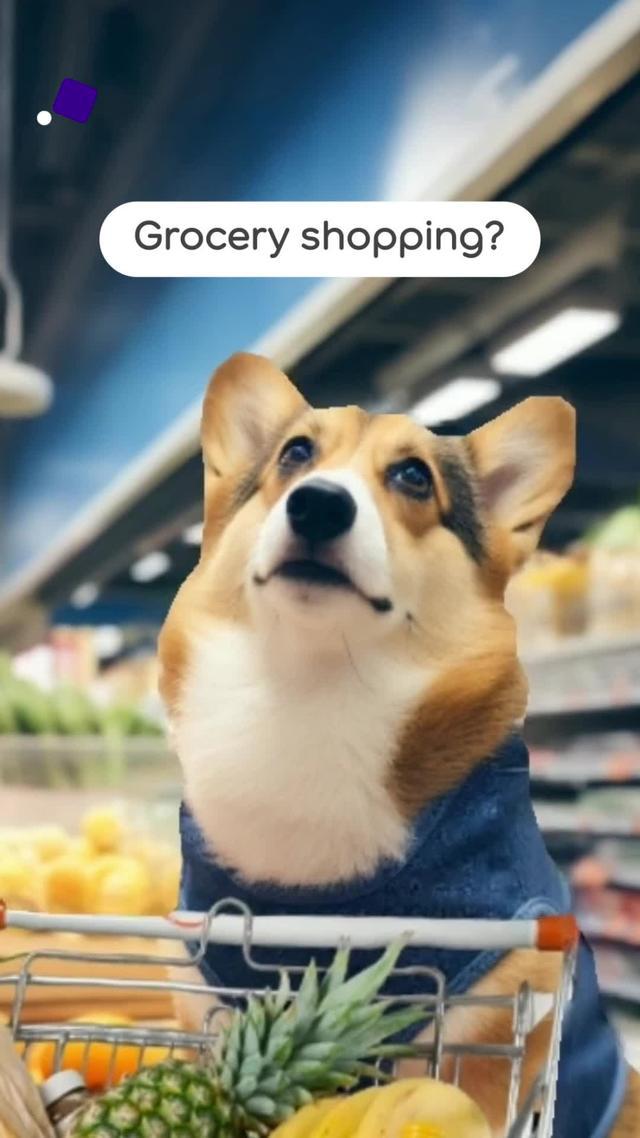 See the world for less