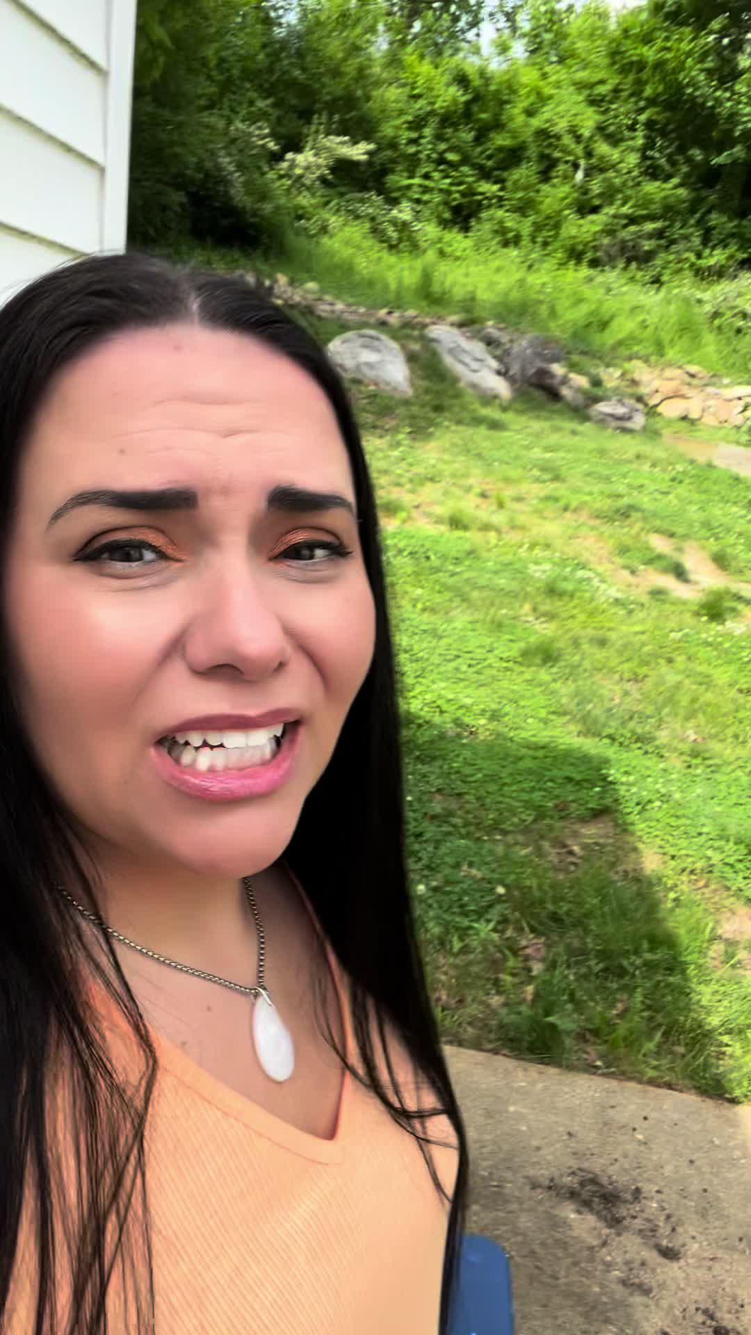 Identify plants & diseases. Get full plant information and personal care schedule.