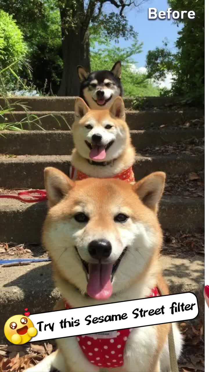 Want to know what your pet anime looks like? Try AI photo enhancer