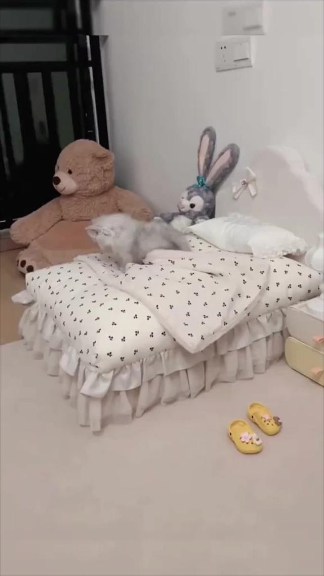 使用睡眠追蹤器獲得良好的睡眠並了解您的睡眠習慣。