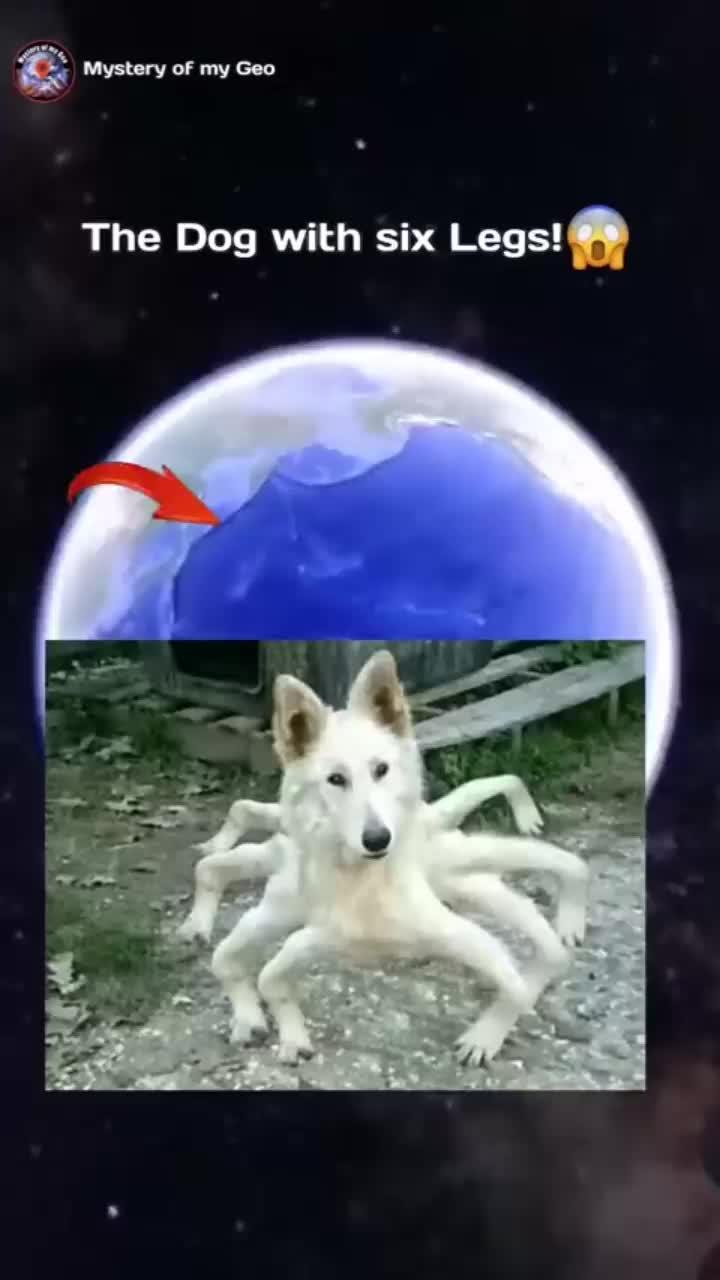 Easy GPS navigation and maps