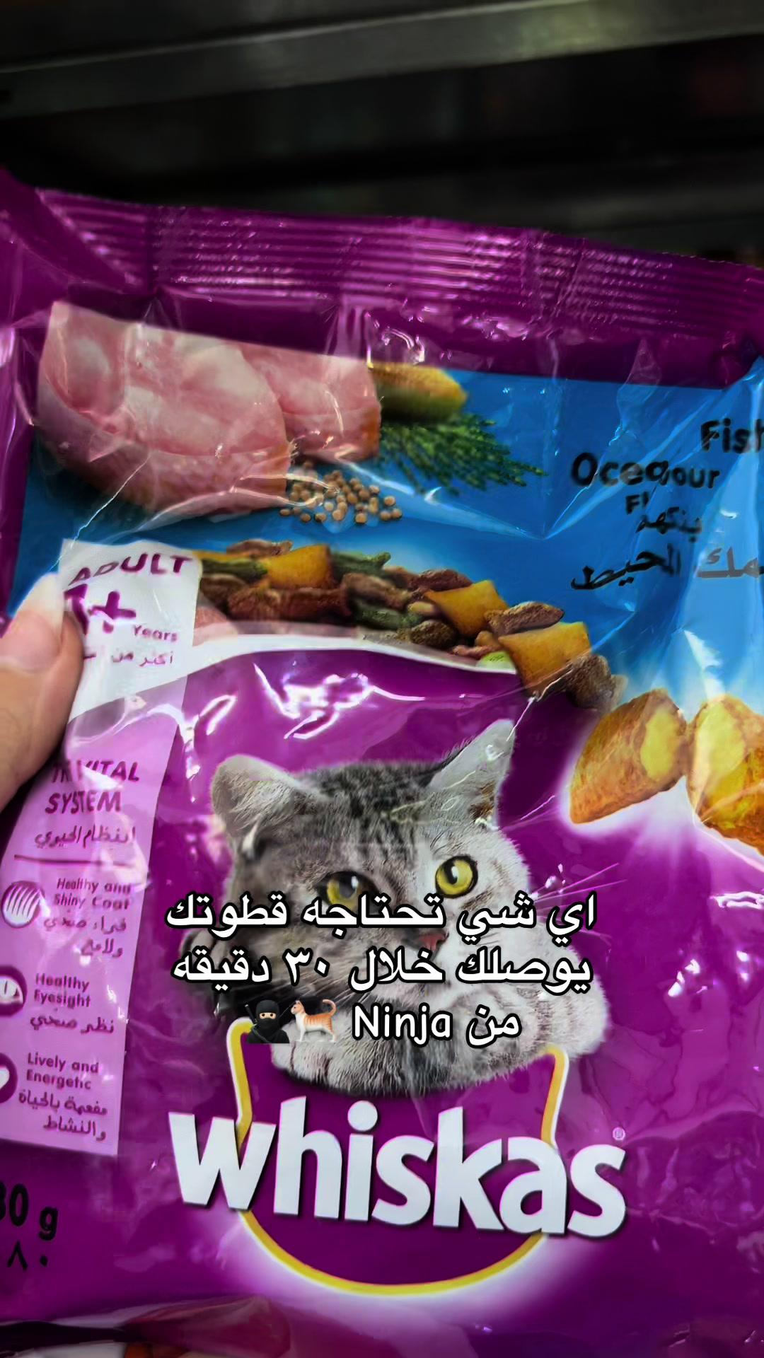 حتى مقاضي القطط موجوده في نينجا اطلبها الان 🐈🥷🏻!! #تطبيق_نينجا #كاندي #مقاضي #قطط #حيوانات_اليفه #نينجا_مختم_الدراسة #حلويات_مستوردة #قرطاسية