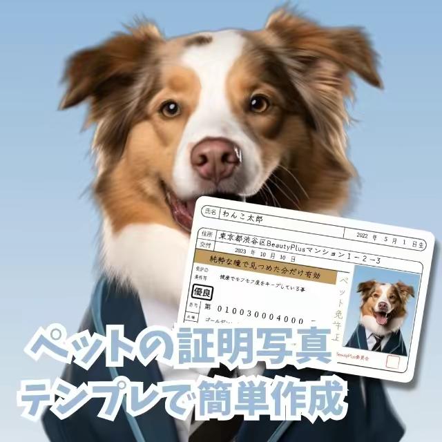 ペットテンプレートで！可愛い写真をGet！