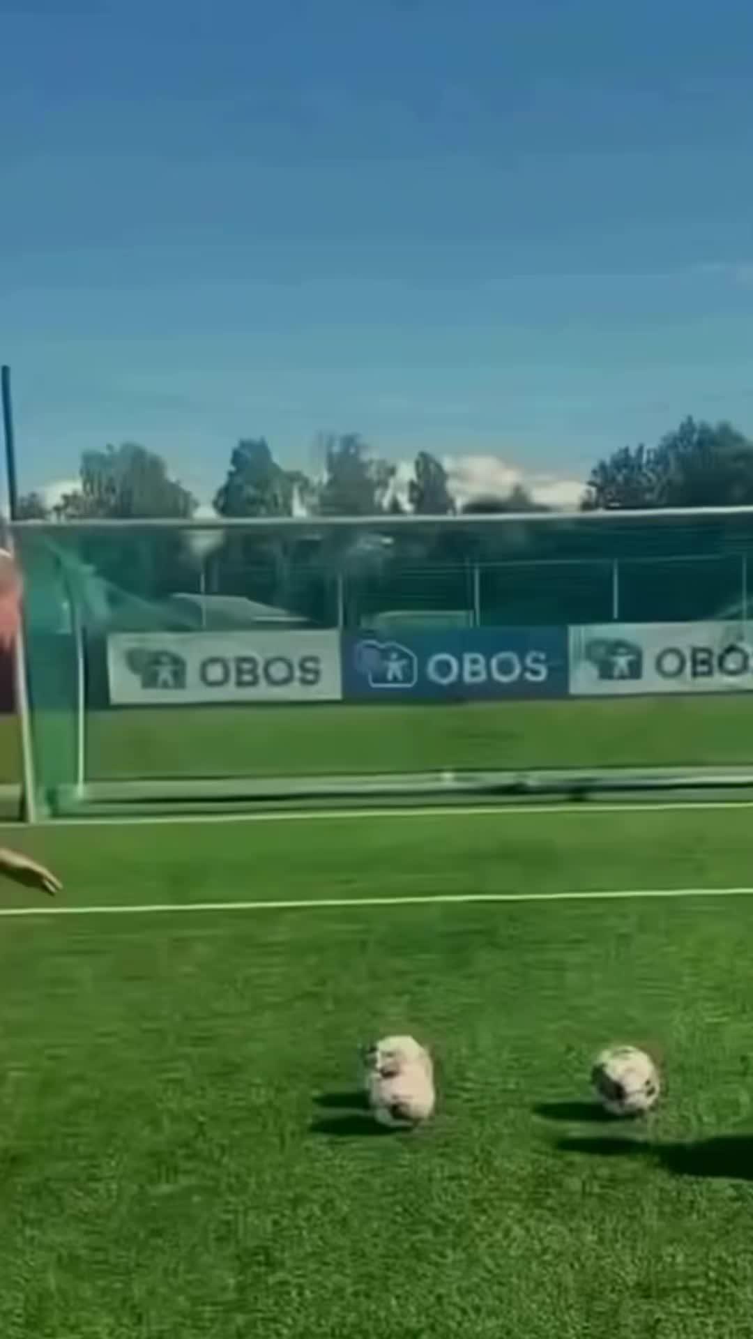 Rizzgod gives anyone perfect Rizz